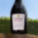 Vino Groviglio