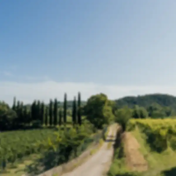 Cà Maiol