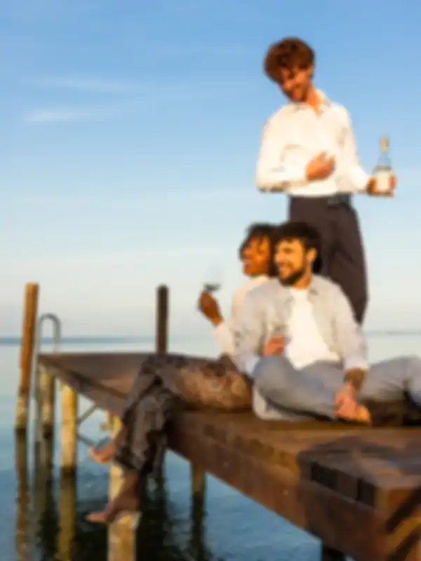 Esperienze cantina Lugana Cà Maiol - vista del Lago di Garda