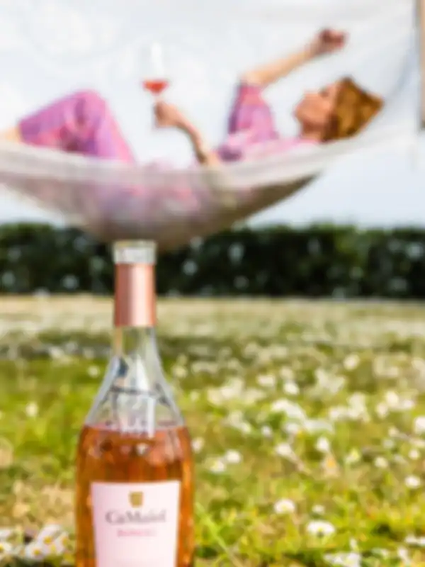 Cà Maiol I vini della Valtènesi - bevi Chiaretto