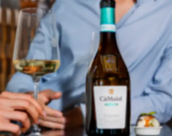 Quale vino scegliere per un aperitivo: consigli e proposte