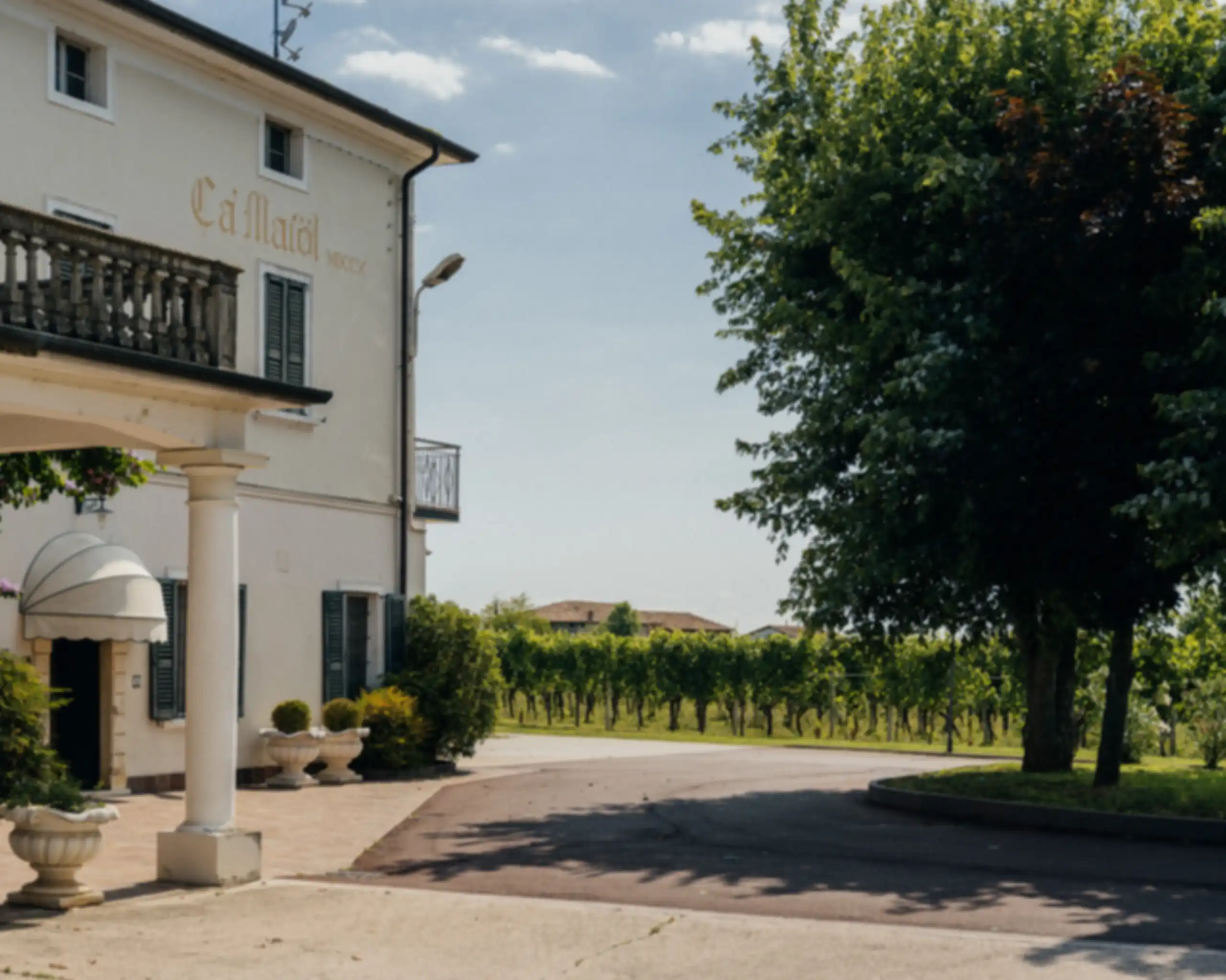 Ingresso cantina Ca Maiol