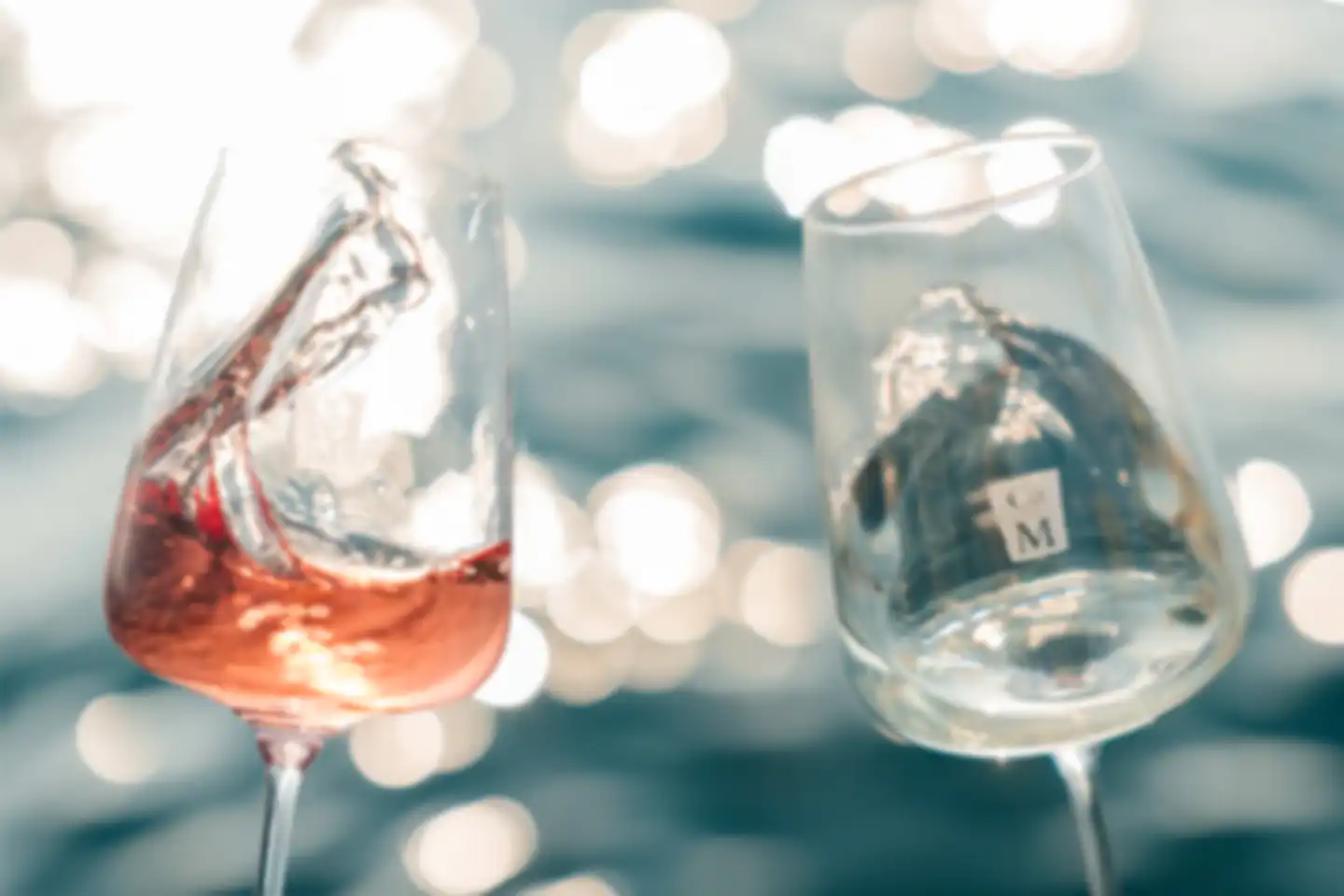 I vini del Lago di Garda