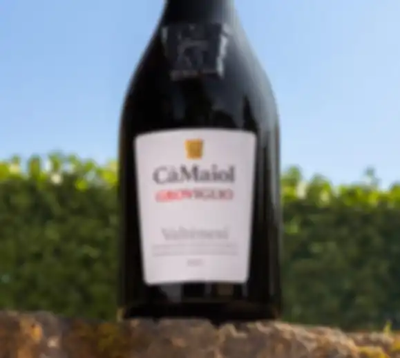 Vino Groviglio