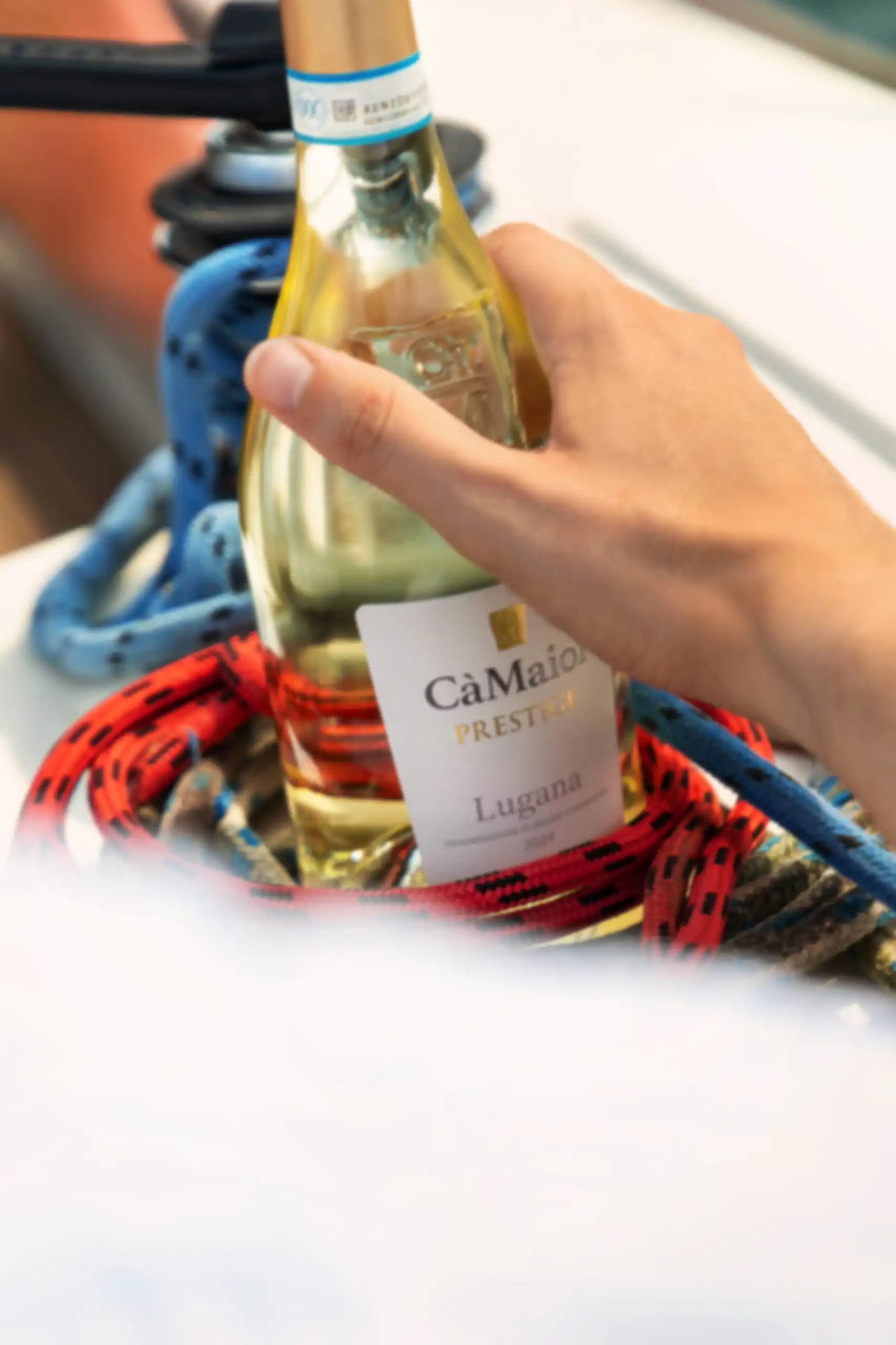 CAMAIOL-BARCA-6