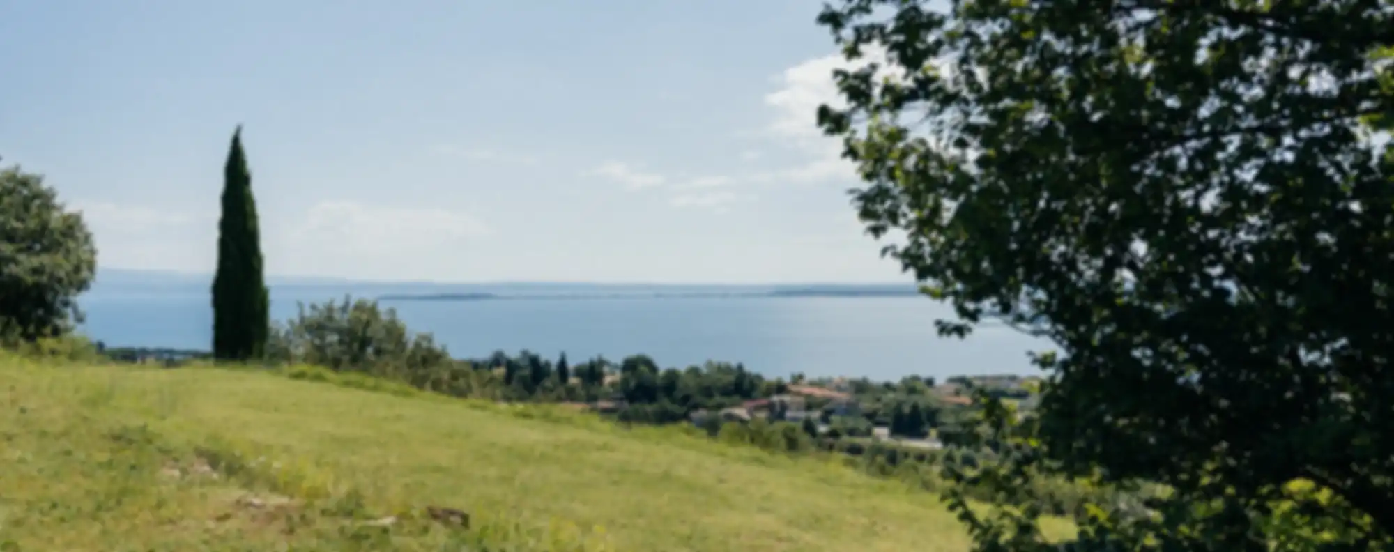 62_Ca_Maiol_Lores_DSC3291