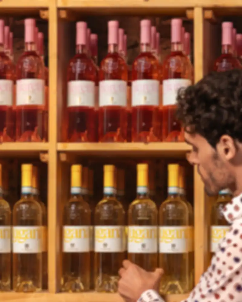 Linea Base le bottiglie Lugana Chiaretto Cà Maiol 