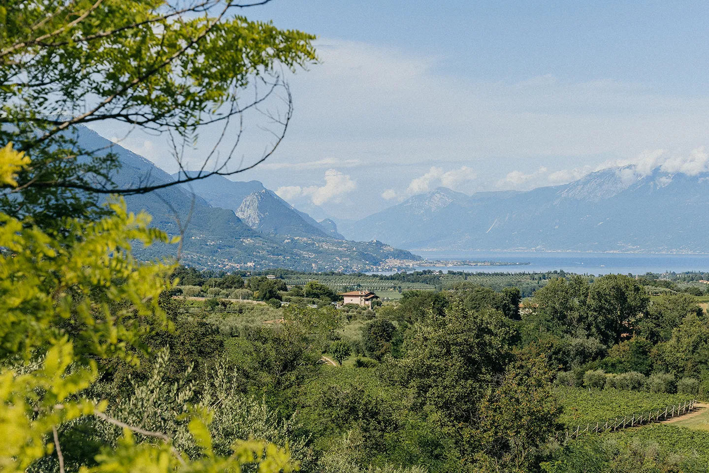 Vitigno Valtènesi - Cà Maiol