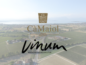 I nostri vini recensiti dalla rivista Vinum